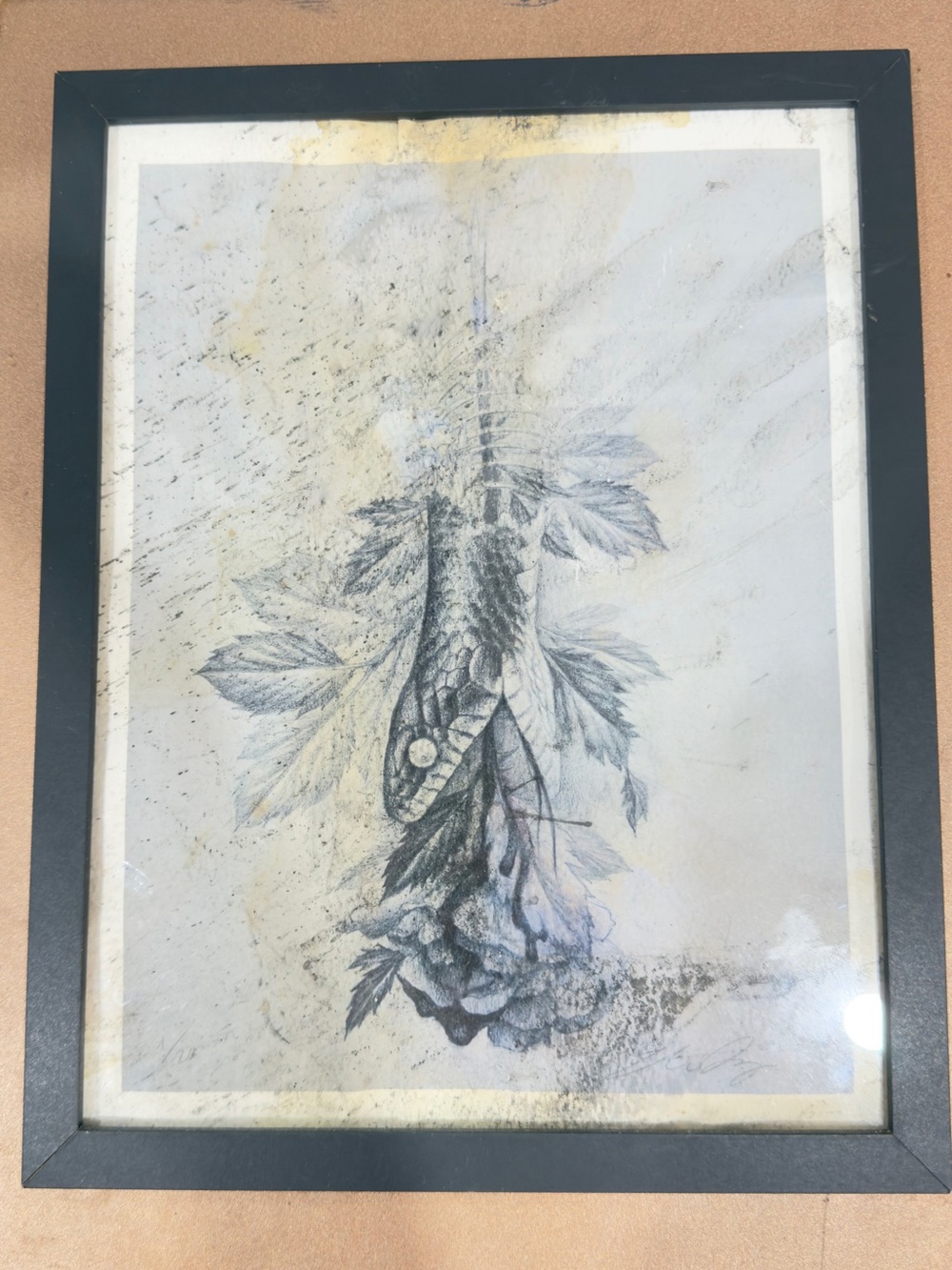 8x10 Framed Distressed Snake Head/Floral Print Black/Gray- Nature/Moody/Gothic